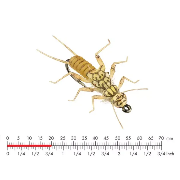 Tungsten Stonefly Nymph 3 Gold mosca JSon