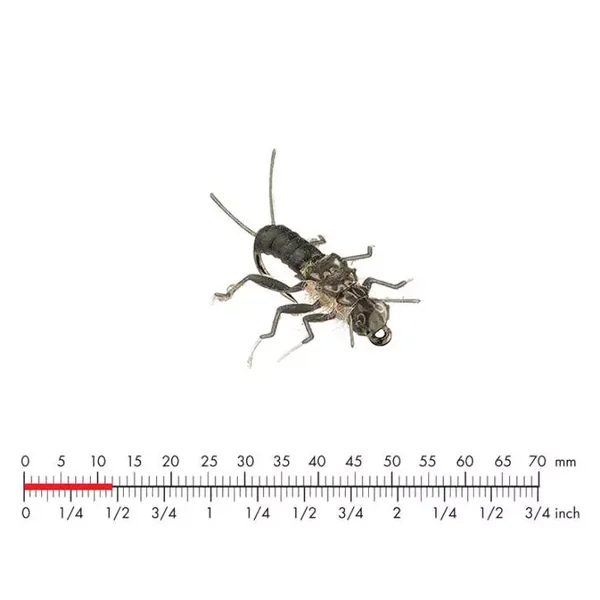 Tungsten Stonefly Nymph 5 Black mosca JSon
