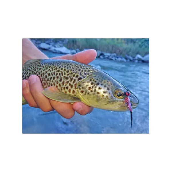 Twaid Shad Streamer Black streamer trucha - Imagen 3