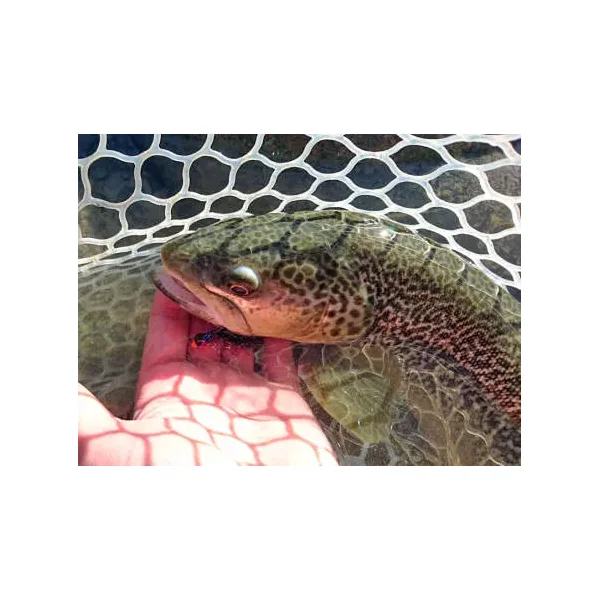 Twaid Shad Streamer Black streamer trucha - Imagen 4