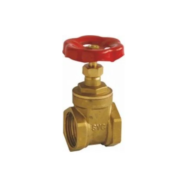 Valvula compuerta metal 2" h-h