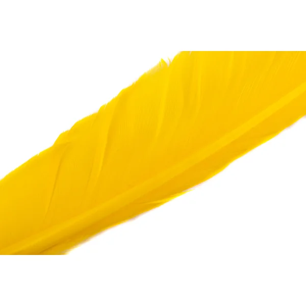 Wapsi Goose Quill - plumas de ganso
