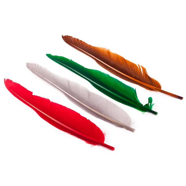 Wapsi Goose Quill - plumas de ganso - Imagen 3