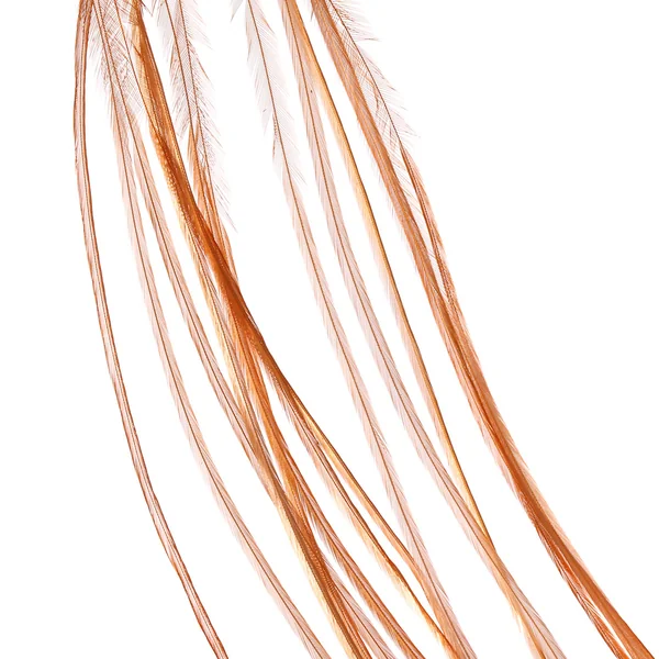 Whiting 100 unidades Talla 18