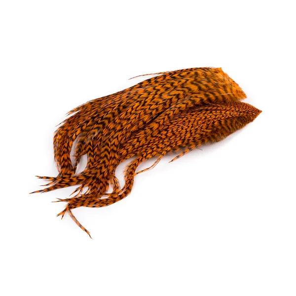 Whiting Bugger Pack Grizzly