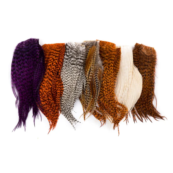 Whiting Bugger Pack Grizzly - Imagen 2