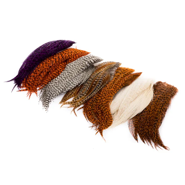 Whiting Bugger Pack Grizzly - Imagen 3