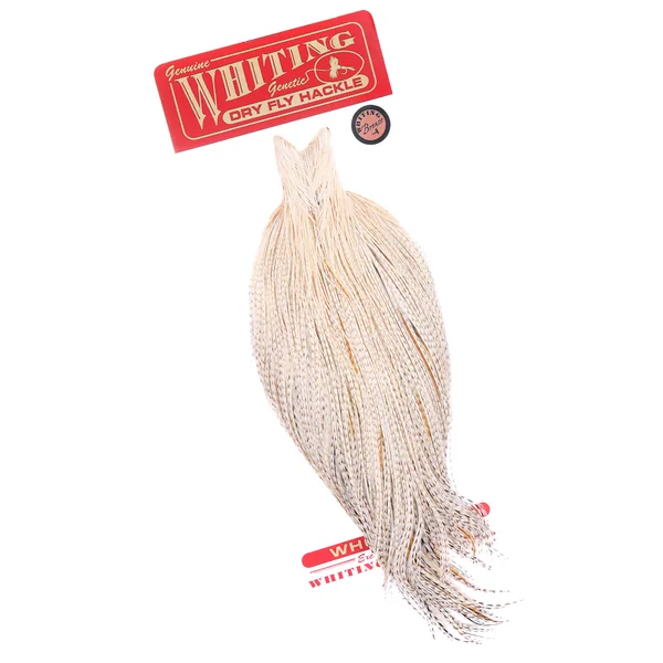Whiting Cabo de Bronce