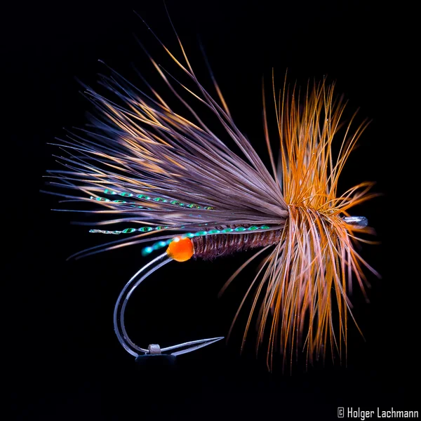 Whiting Cabo de Plata - Imagen 7