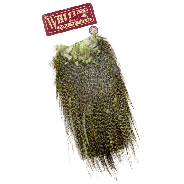 Whiting Coq de Leon Silla de montar Bronce