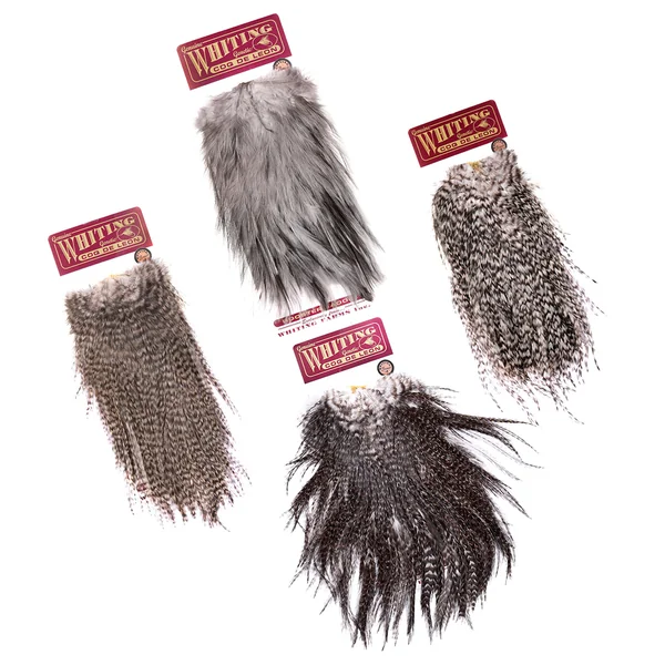 Whiting Coq de Leon Silla de montar Bronce - Imagen 2