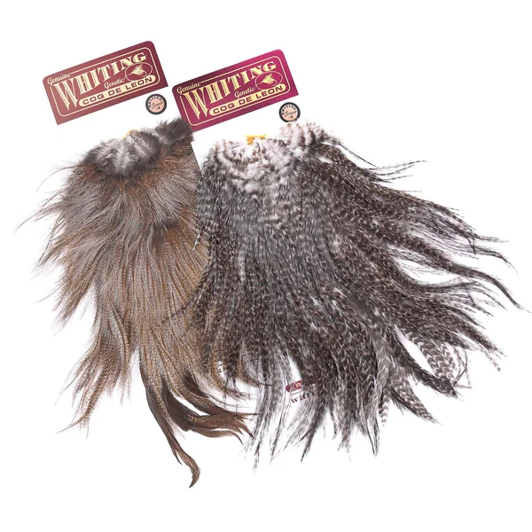 Whiting Coq de Leon Silla de montar Bronce - Imagen 3
