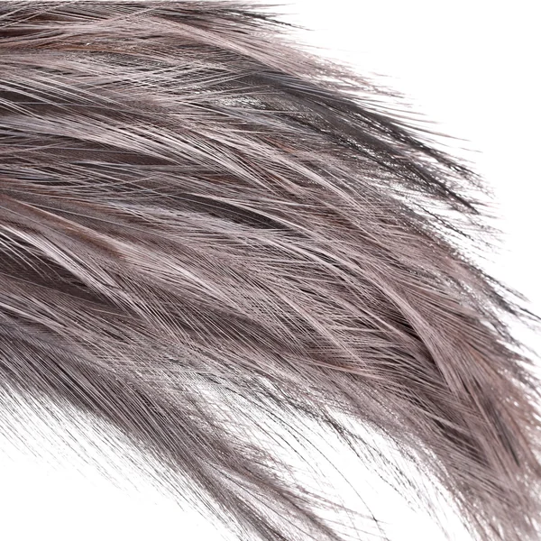 Whiting Coq de Leon Tailing Pack - Imagen 4