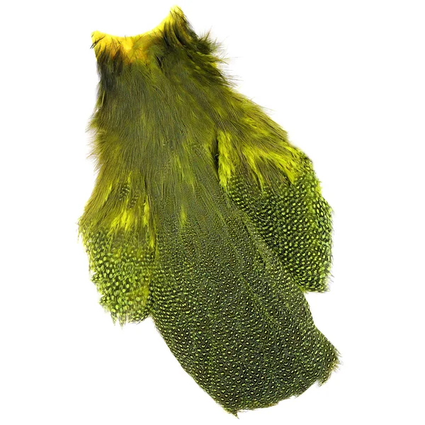 Whiting Cuello de pintada Cuello de pintada