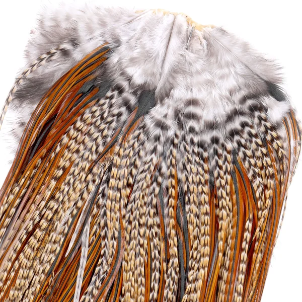Whiting Silla de Bronce - Imagen 4