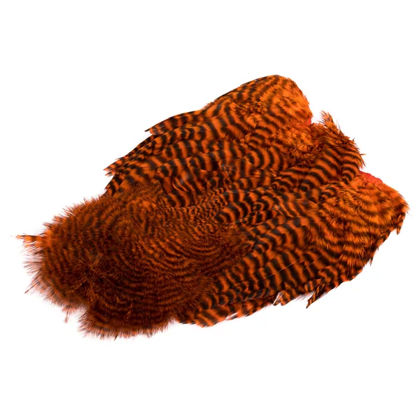 Whiting Soft Hackle Con Chickabou