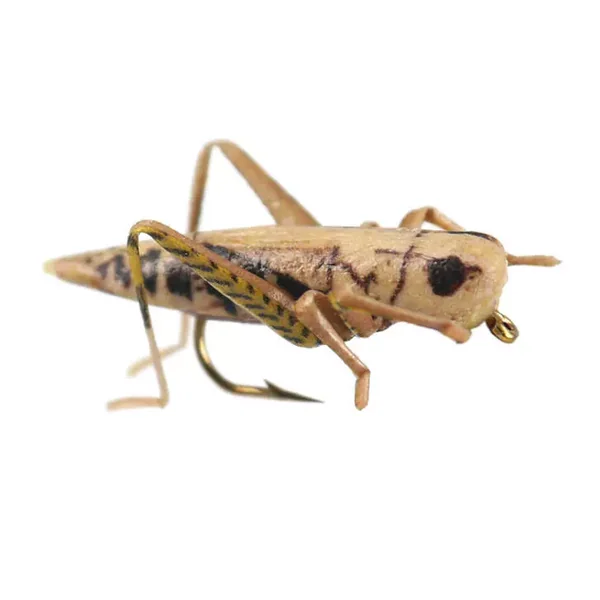 X-true Hopper Tan saltamontes - Imagen 3