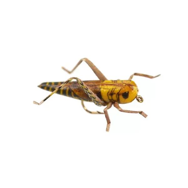 X-true Hopper Yellow Brown saltamontes
