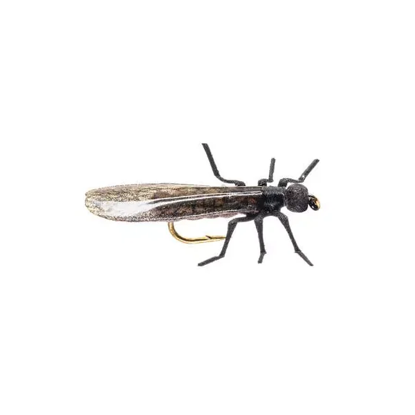 X-True Stone Fly little black mosca seca