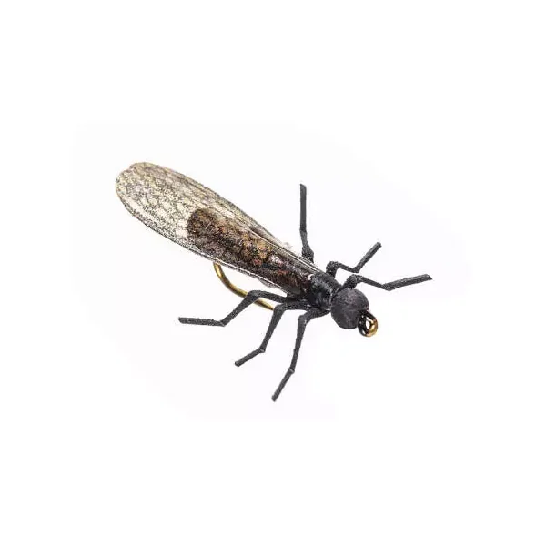 X-True Stone Fly little black mosca seca - Imagen 2