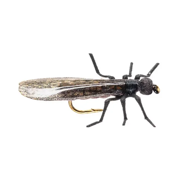 X-True Stone Fly little black mosca seca - Imagen 3