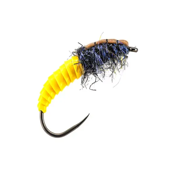 Yellow Giant Wonder Larva BL mosca agohada